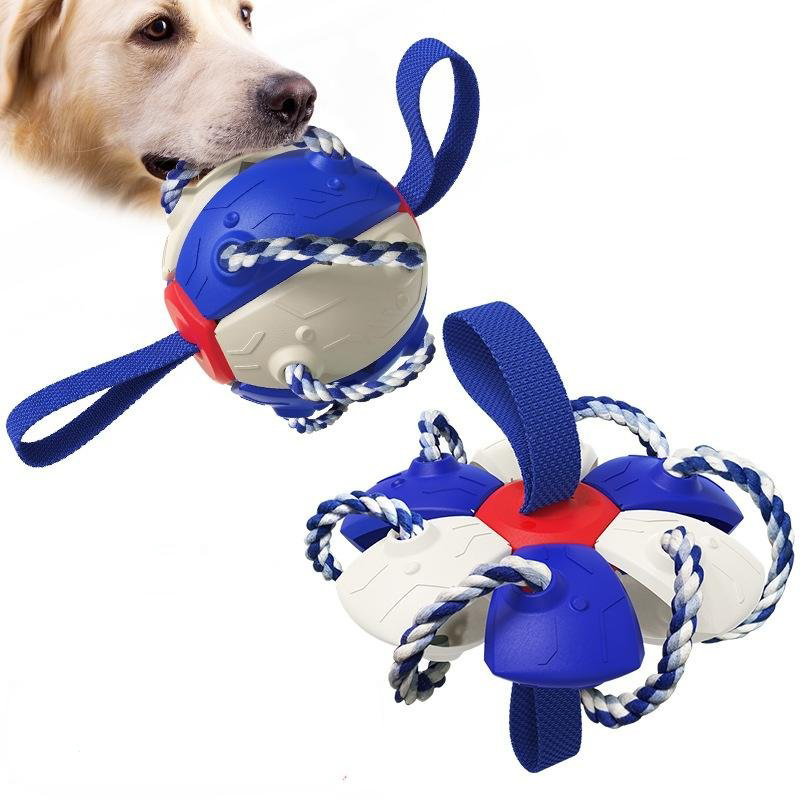 Hračka pre psa - Lopta frisbee