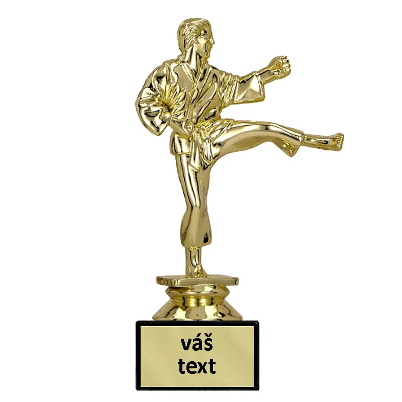 Trofej Karate 16cm
