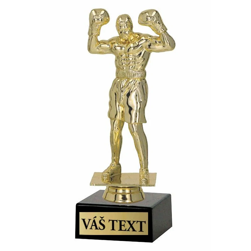 Trofej Box 19cm