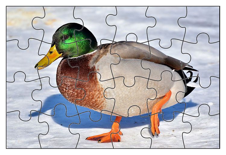 Puzzle s potlačou 18x13cm (24 dielikov)