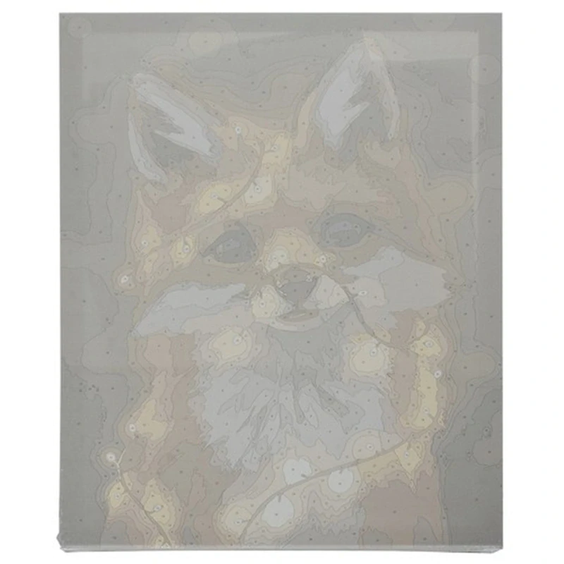 Maľovanie podľa čísel 40 x 50 cm Líška