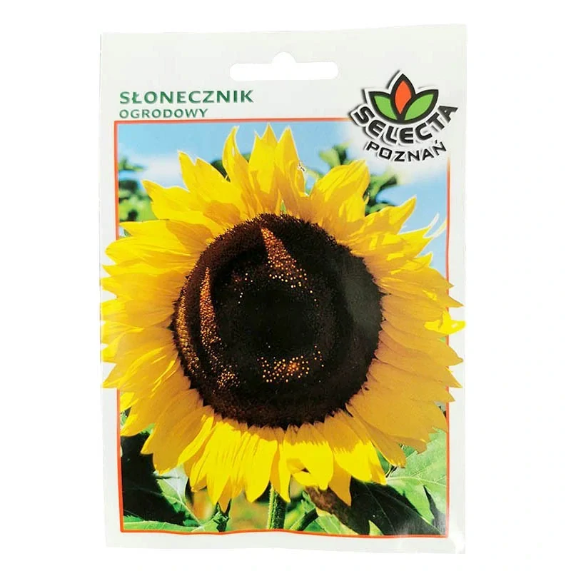 Slnečnica záhradná - 10g