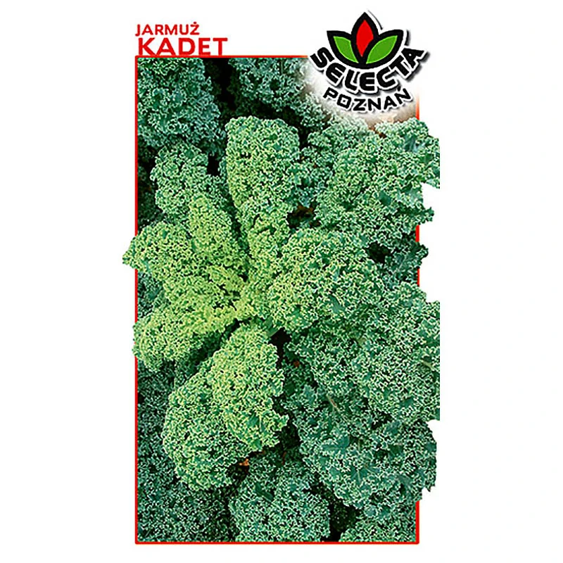 Kel kučeravý: KADET - 1g