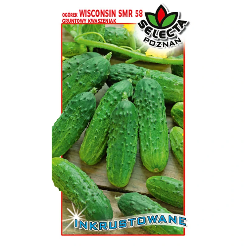 Uhorky nakladačky "Wisconsin 58" inkrustované - 5g