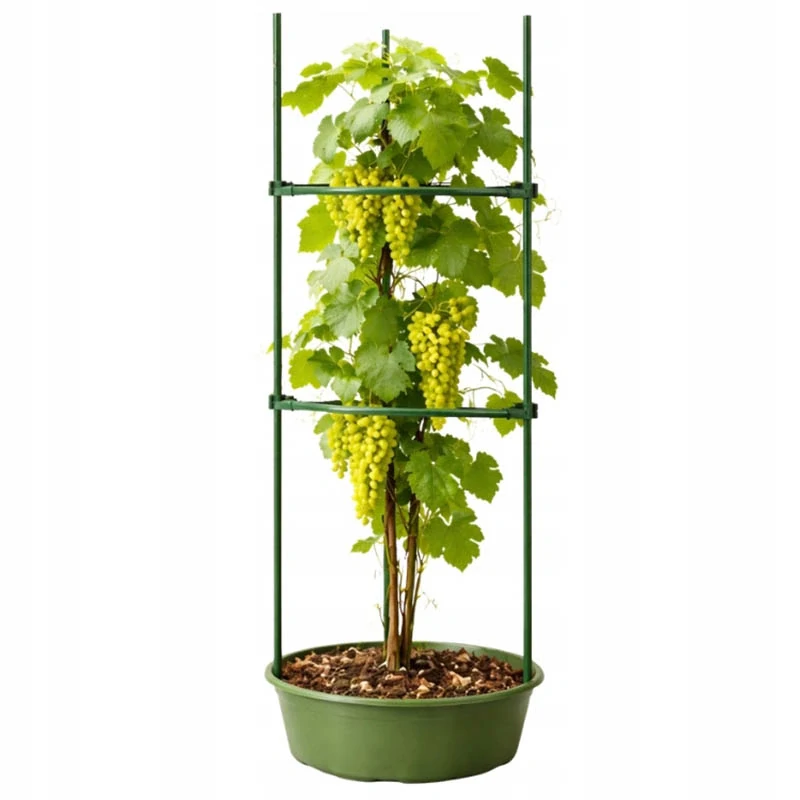 Trojuholníková opora na rastliny 90 cm
