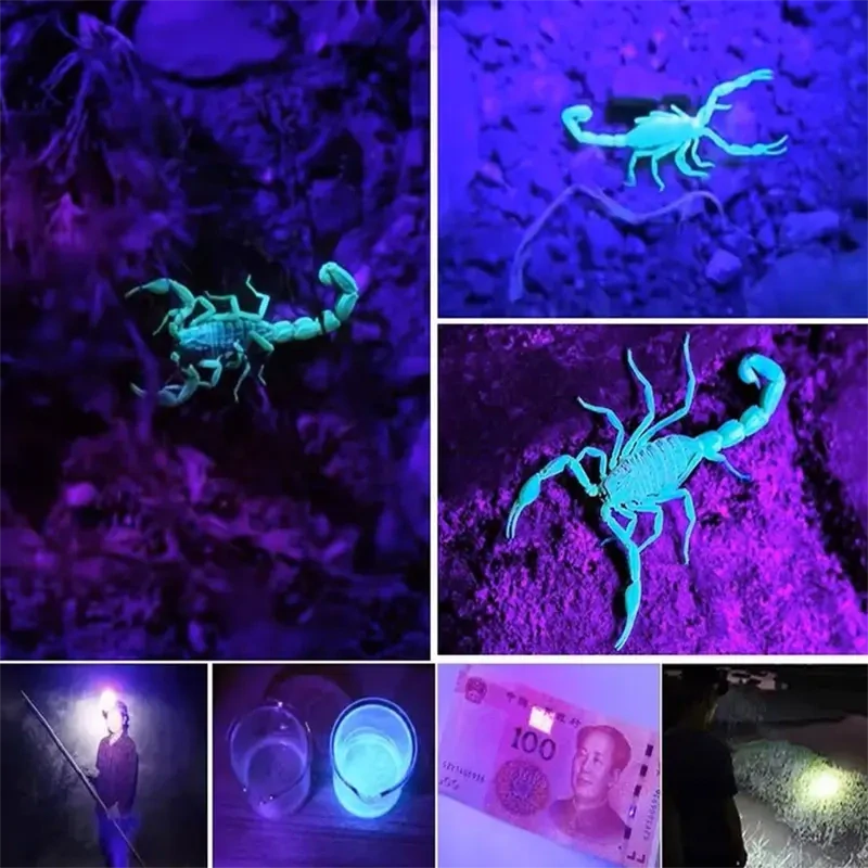 UV LED čelovka GENETIC® vodeodolná