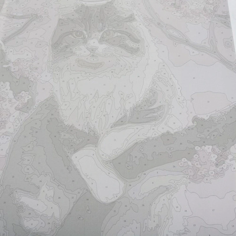 Maľovanie podľa čísel 40 x 50 cm Mačka