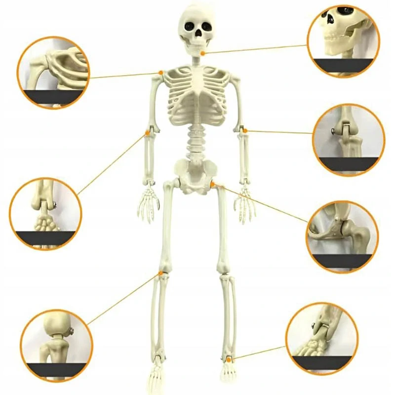 Halloweenska dekorácia kostra 40cm