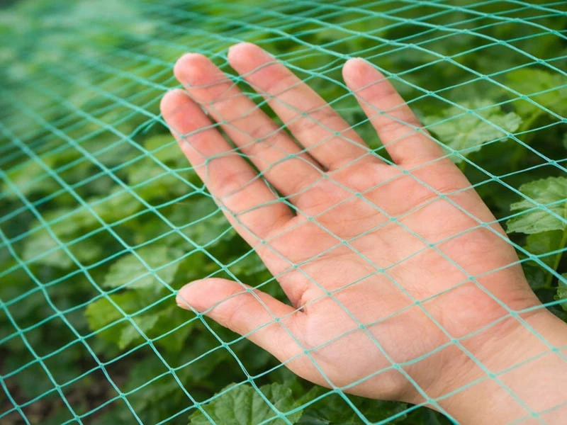 Ochranná sieť proti vtákom 2 × 5 m