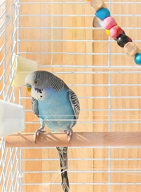 NUXIE® Vtáčia klietka pre papagáje 63 cm biela
