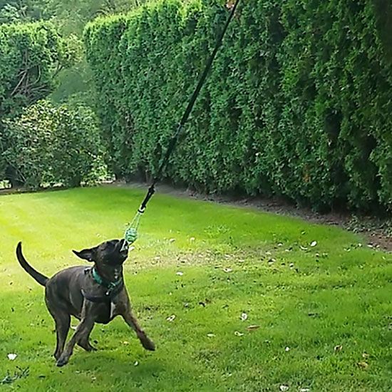 Hračka pre psa Puppy Pull exteriérová