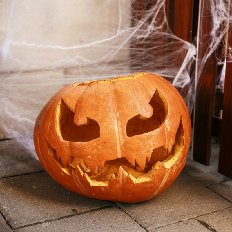 Malatec Halloweenska výzdoba Pavučina s pavúkmi