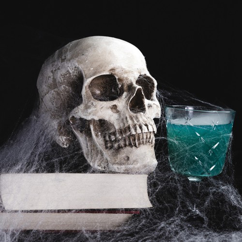 Malatec Halloweenska výzdoba Pavučina s pavúkmi