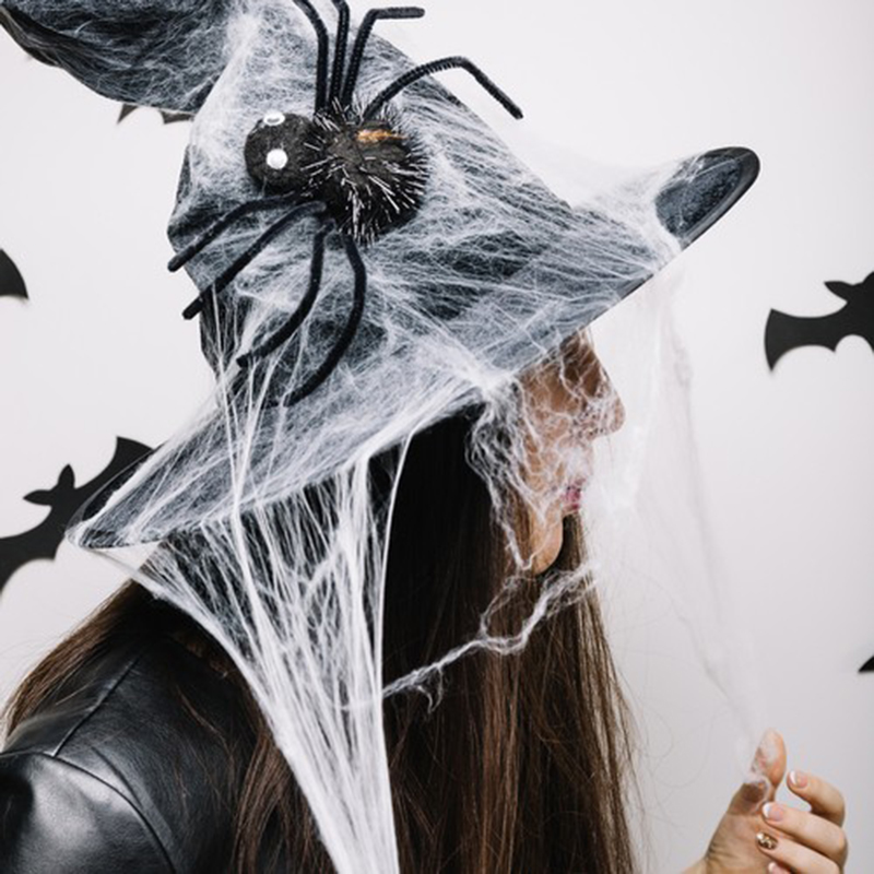 Malatec Halloweenska výzdoba Pavučina s pavúkmi