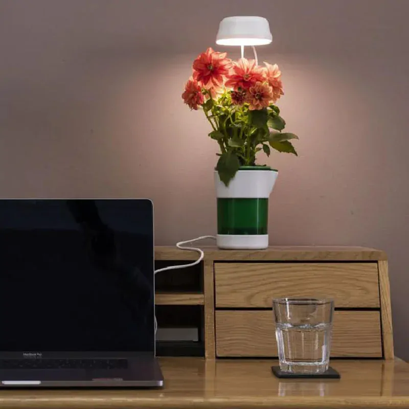 Lampa LED na podporu rastu rastlín