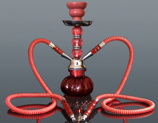 Inhalátor s hadičkami  28cm/2 červená
