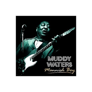 Platňa Muddy Waters