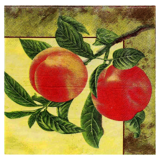 Servitky Atelier 25x25cm Broskyne - 20ks