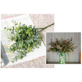 Halúzka Eucalyptus 34 cm - 5 stoniek