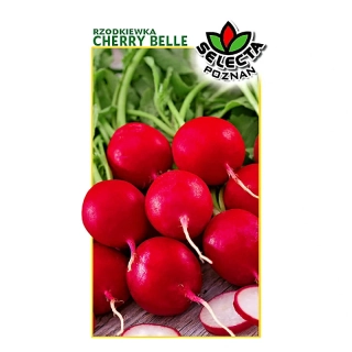 Redkvička červená guľatá "Cherry Belle" - 10g