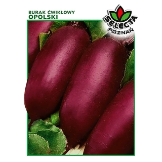 Červená repa cvikla "Opolska" - 10g