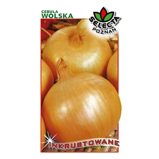 Cibuľa neskorá "Wolska" - 5g