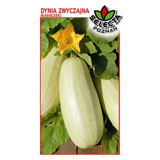 Tekvica "Golden Cepelin" - 3g