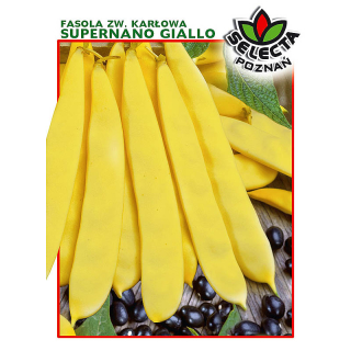 Fazuľa "SUPERNANO GIALLO" - 30g