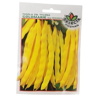 Fazuľa tyčková: "Goldmarie" typ mamut - 10g