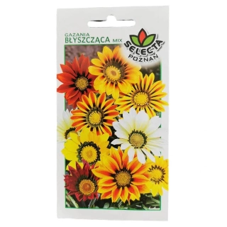 Gazánia lesklá: Gazania rigens - 0,5g