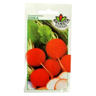 Redkvička červená guľatá "SORA" - 10g