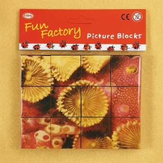 Drevené obrázkové kocky Fun Factory – morské motívy, 9 ks